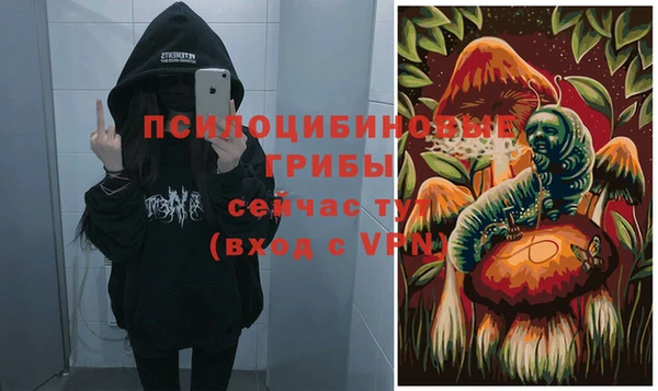 синтетический гашиш Богородицк