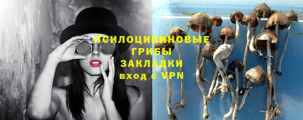 синтетический гашиш Богородицк