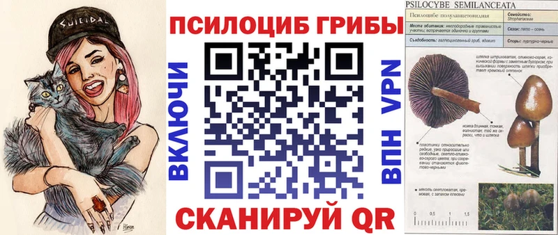 Псилоцибиновые грибы GOLDEN TEACHER  купить закладку  Вязьма 